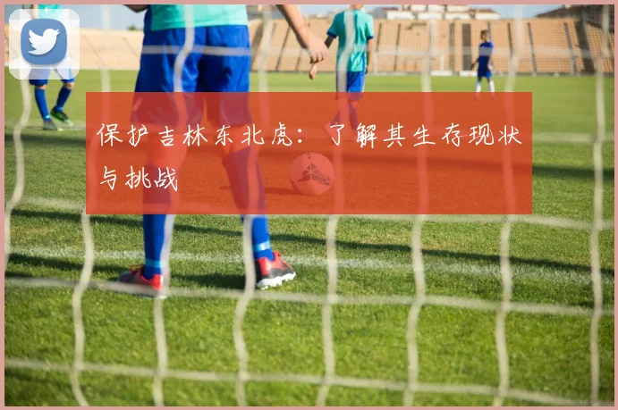 保护吉林东北虎：了解其生存现状与挑战