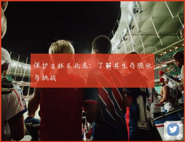 保护吉林东北虎：了解其生存现状与挑战