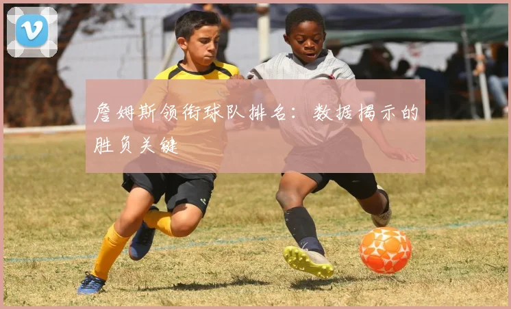 詹姆斯领衔球队排名：数据揭示的胜负关键