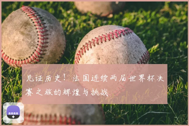 见证历史!法国连续两届世界杯决赛之旅的辉煌与挑战